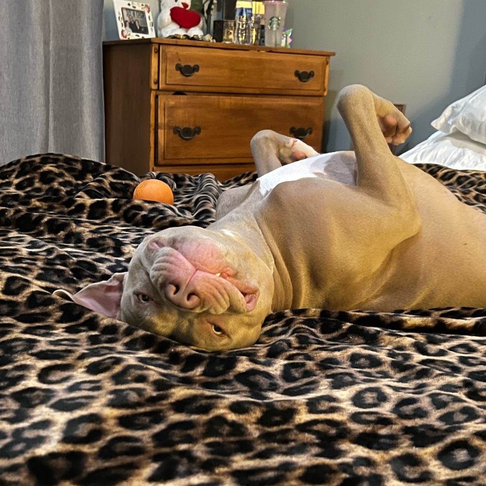 Meet your Posher, Lacey